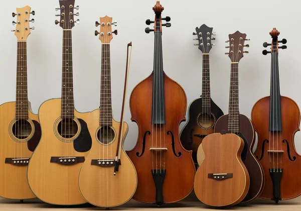 Various instruments like guitar, violin, bass, and mandolin.